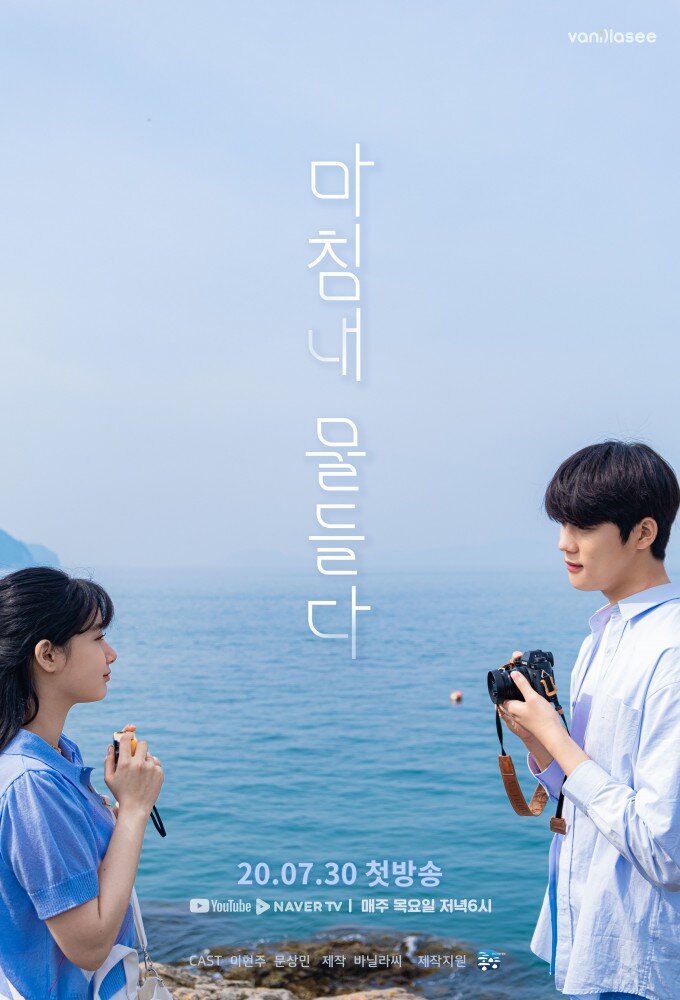 The Colors of Our Time海报